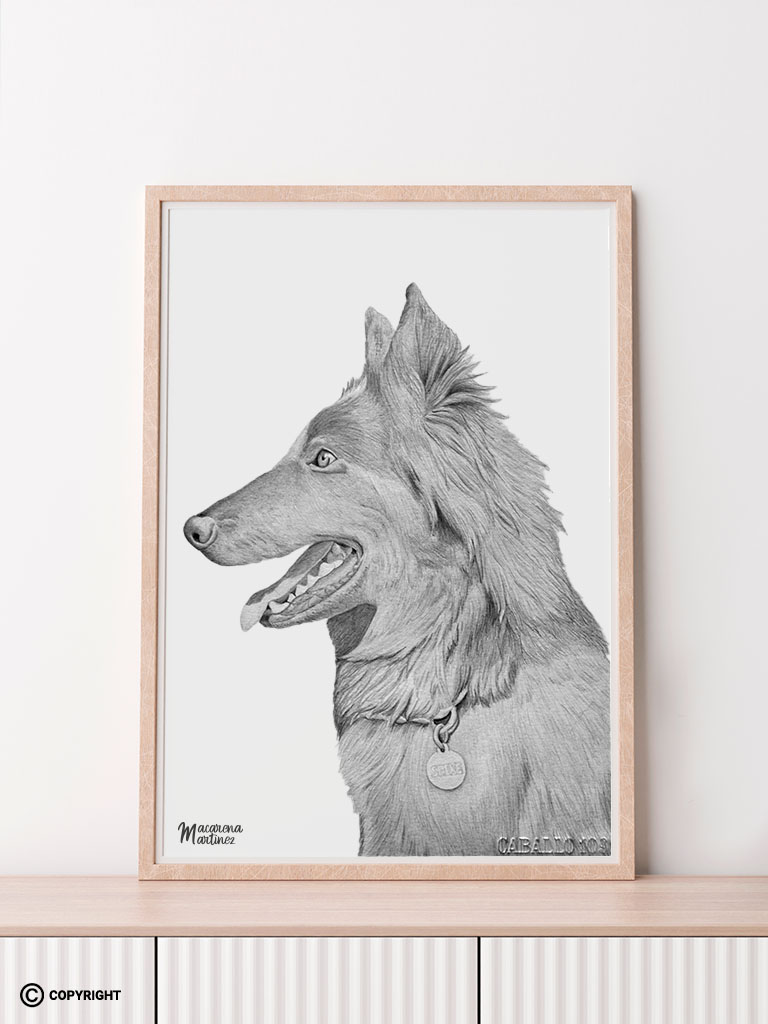 Retrato a lápiz de grafico de un pastor belga