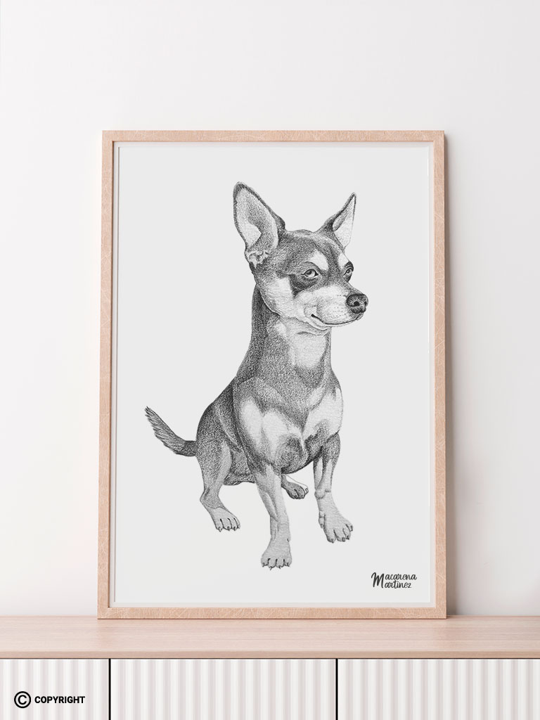 retrato a lápiz de un perro chihuahua