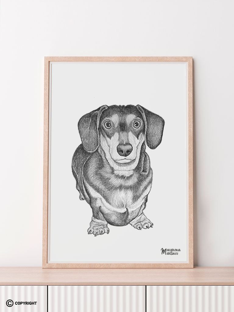 retrato a lápiz de un perro salchicha